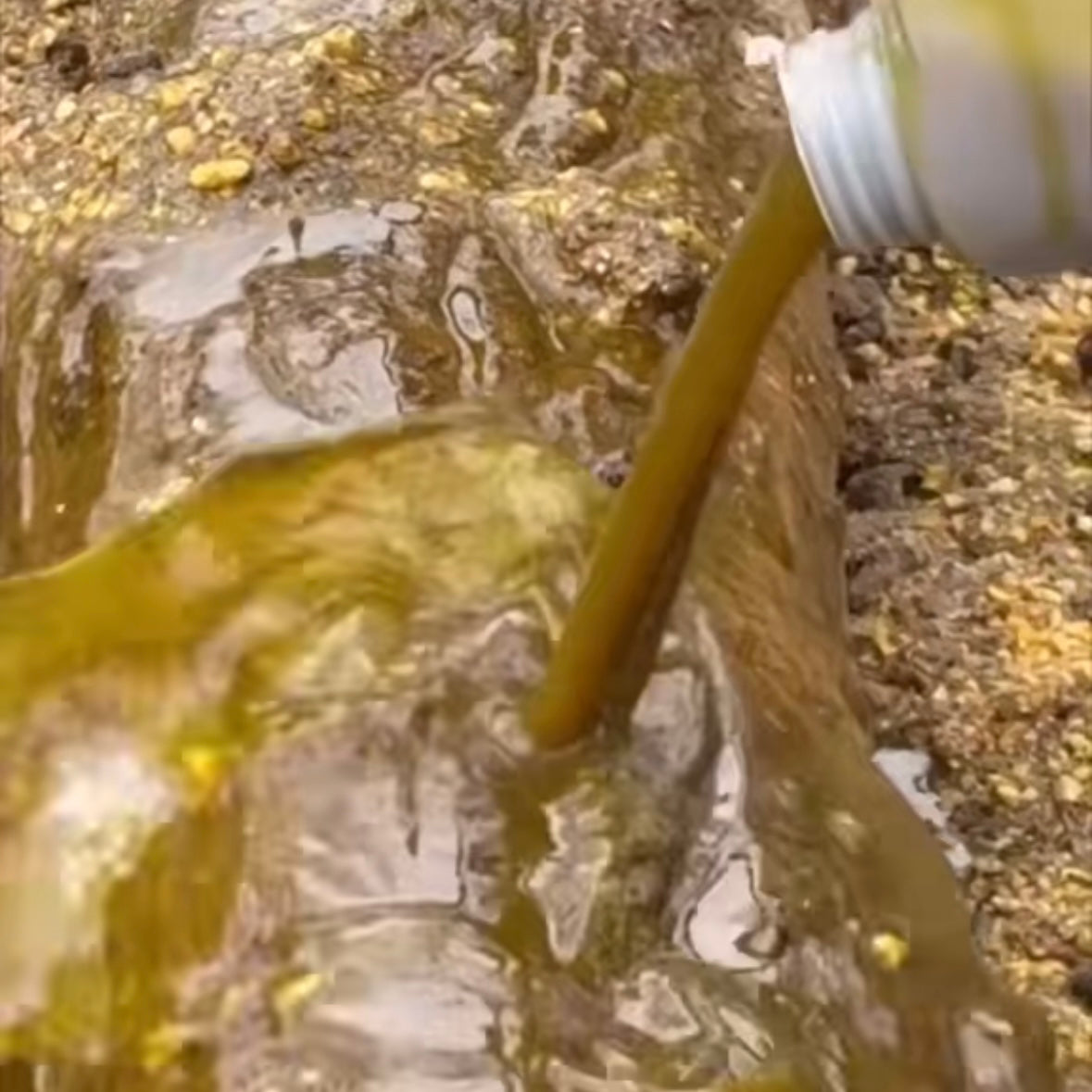 Liquid Kelp Deer Mineral