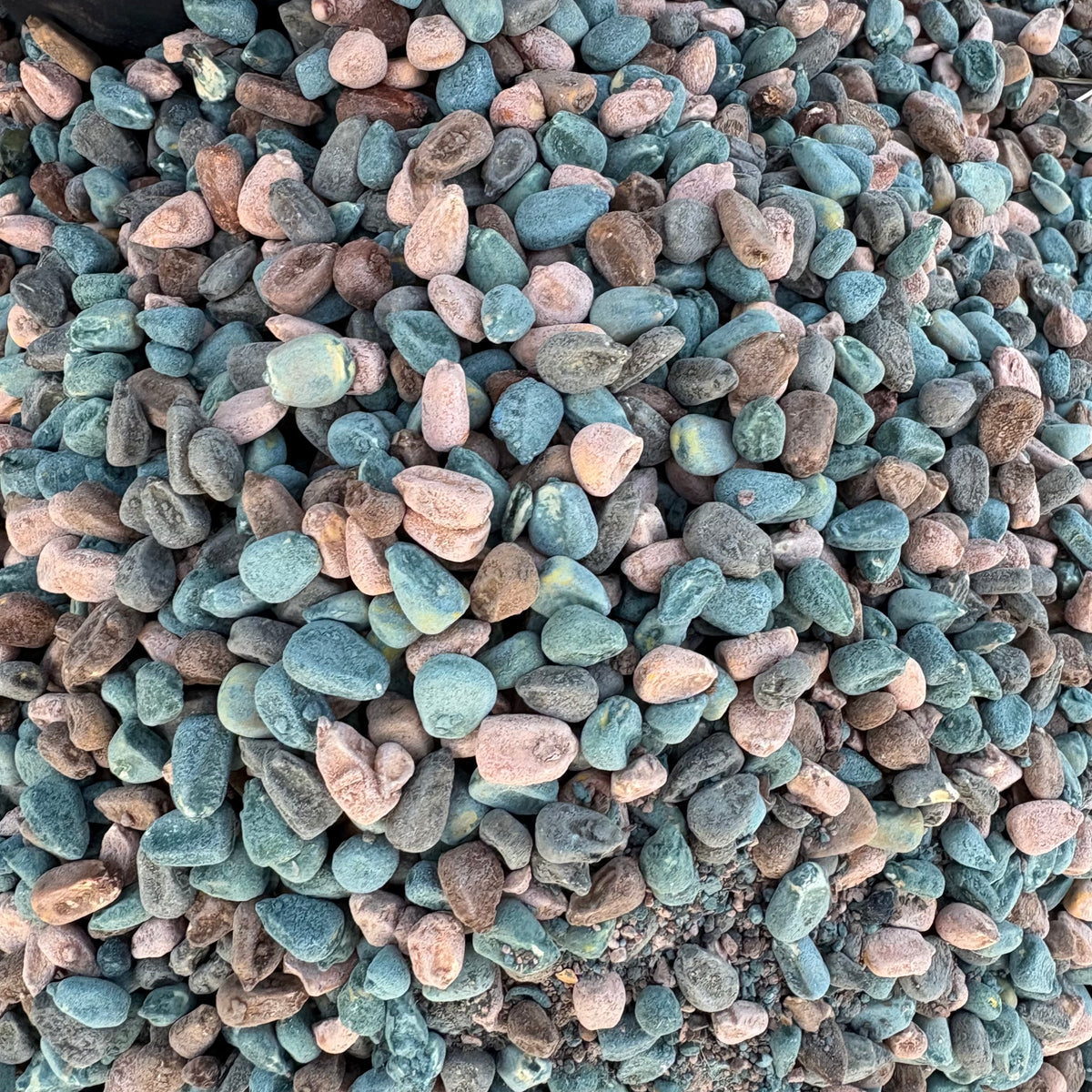 Hide & Seek camouflaged fruit flavored sugar coated corn