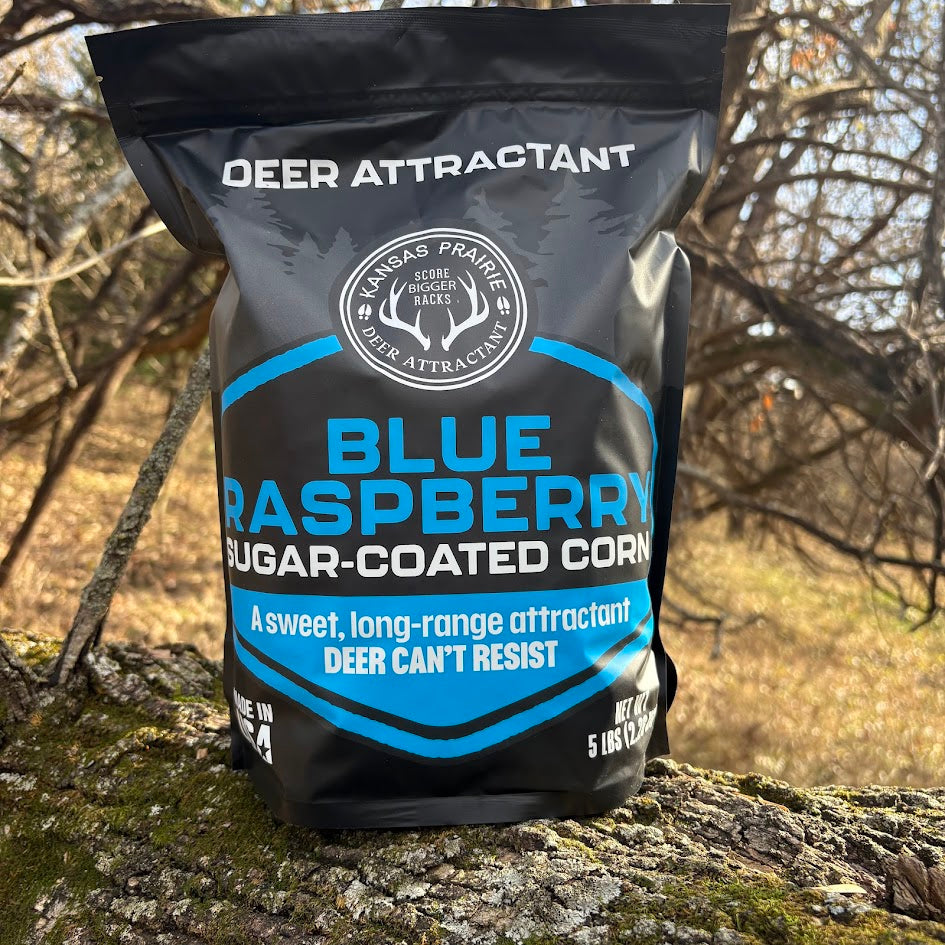 Blue Raspberry Sugar Coated Corn 5lb bag