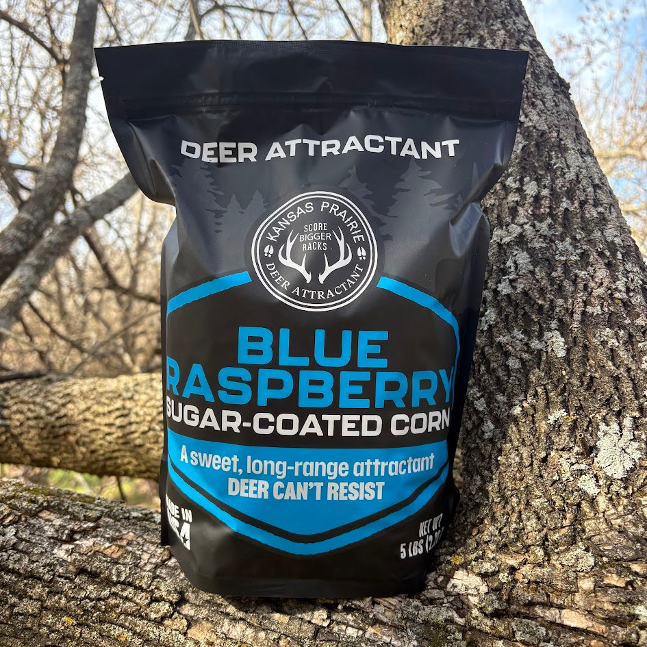 Blue Raspberry Sugar Coated Corn 5lb bag
