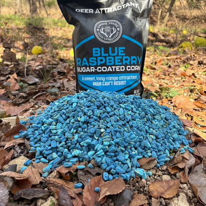 Blue Raspberry Sugar Coated Corn 5lb bag