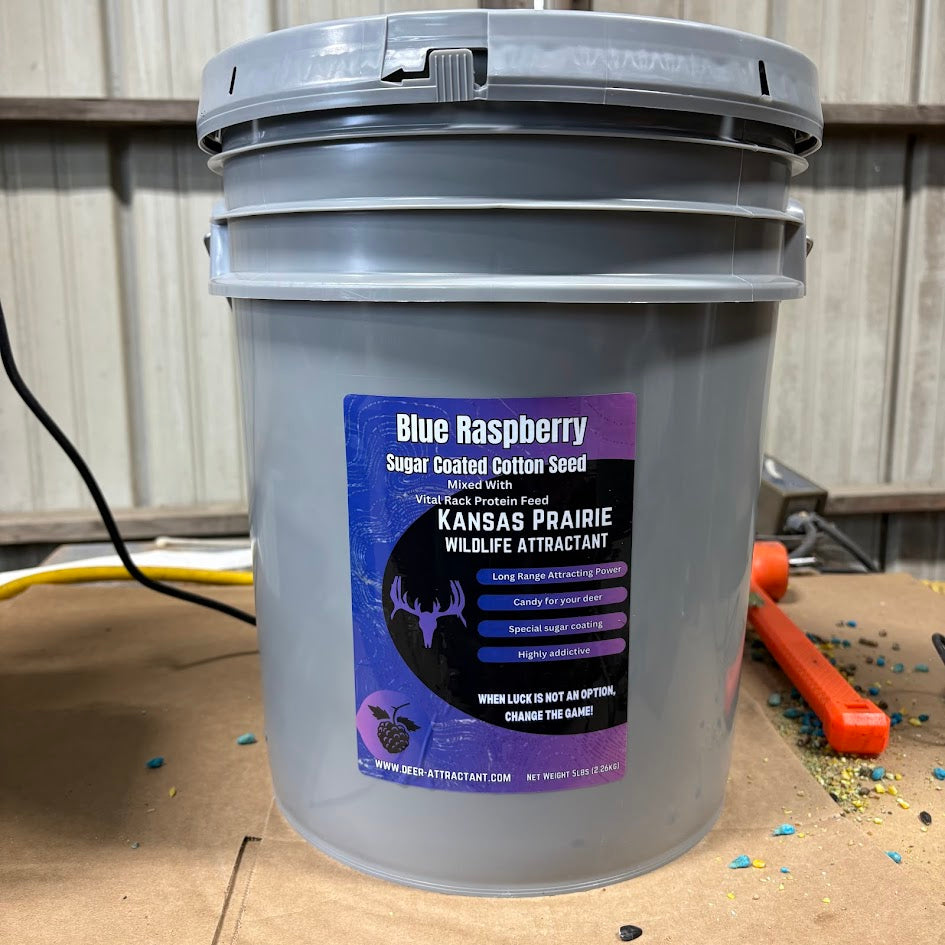 35lb Blue Raspberry Sugar Coated Cotton Seed 5 gallon Bucket