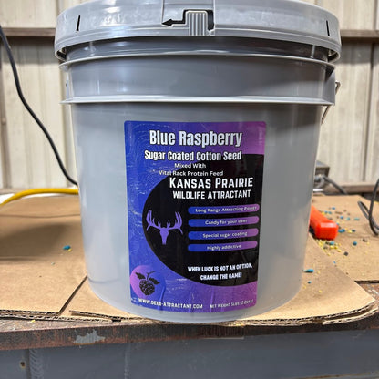 20lb Blue Raspberry Sugar Coated Cotton Seed 3.5 gallon Bucket