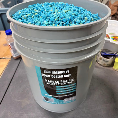 30lb Blue Raspberry Sugar Coated Corn 5 gallon bucket