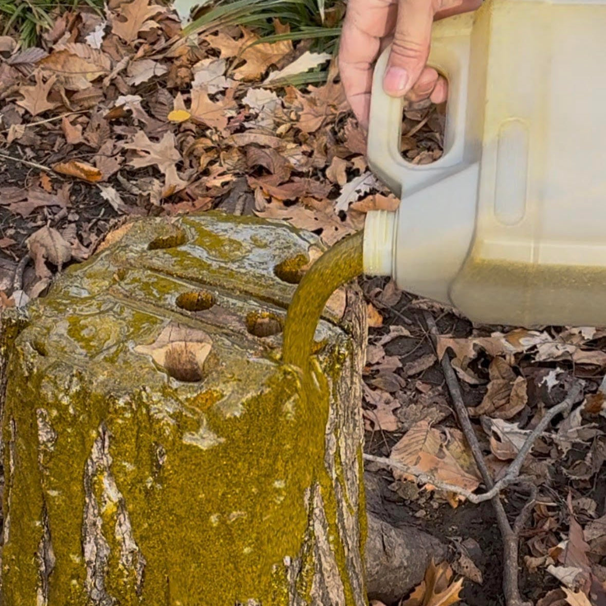Liquid Kelp Deer Mineral