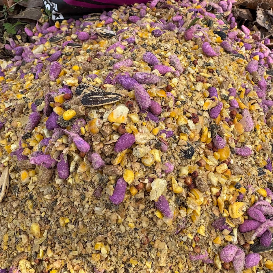 Wild Berry Sugar Coated Cotton Seed