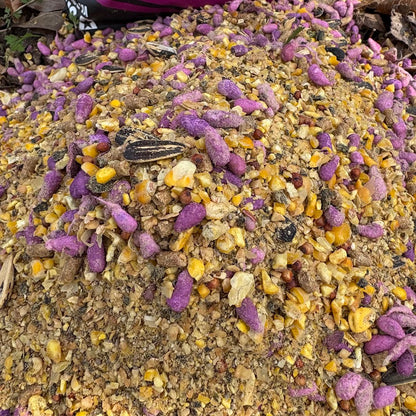 Wild Berry Sugar Coated Cotton Seed